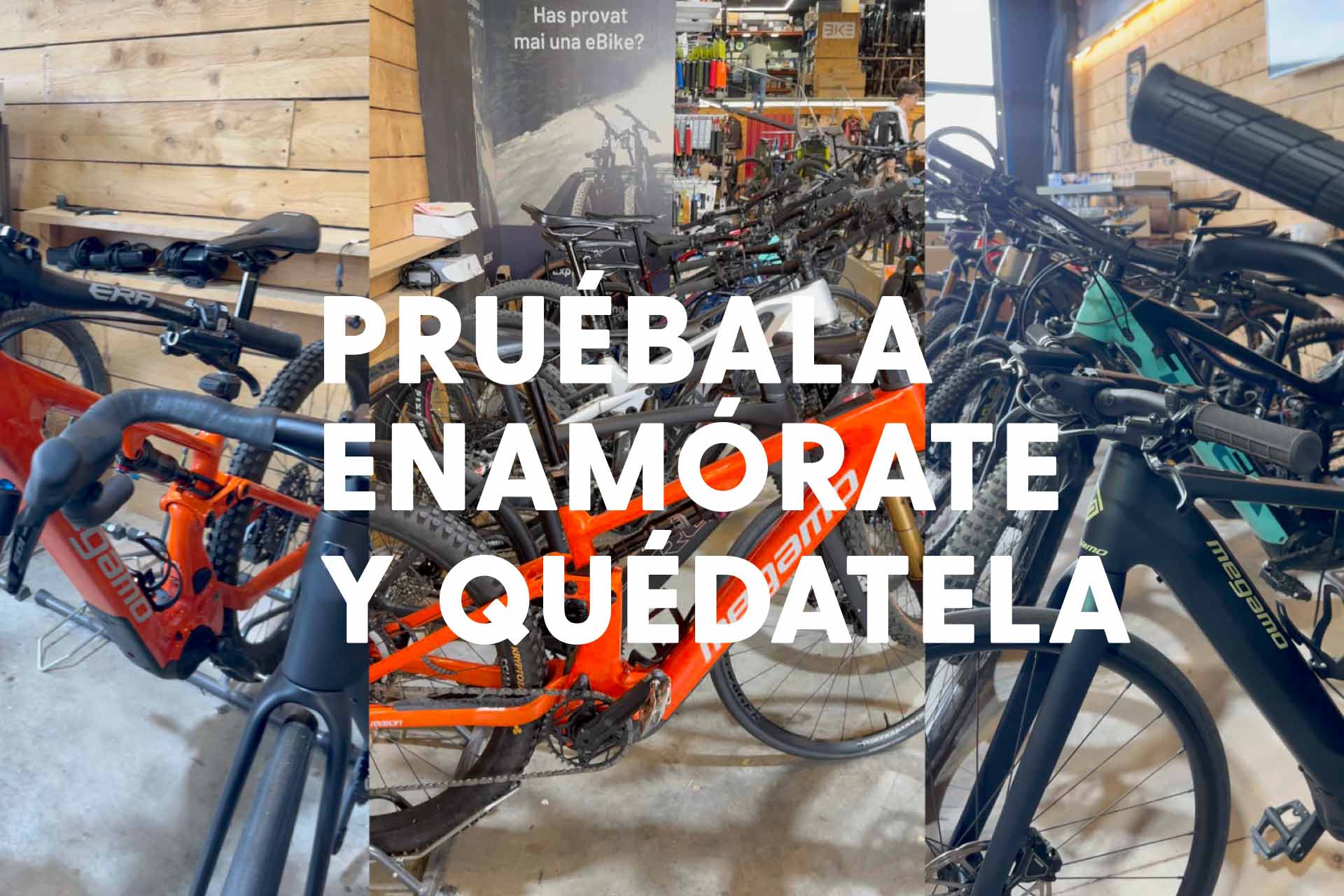 ALQUILA TU PRÓXIMA E-BIKE