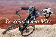 SISTEMA MIPS